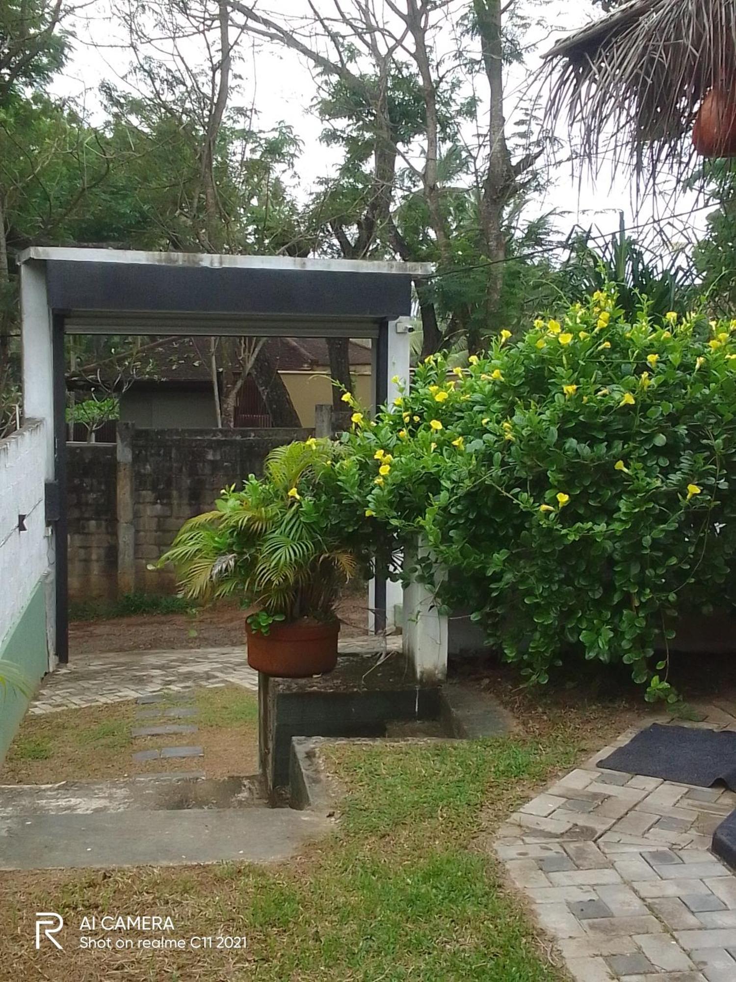 탕갈레 Peacock Garden B&B 객실 사진